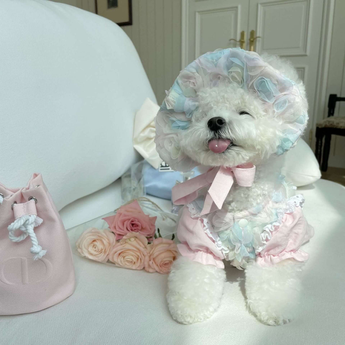 embroidered princess dress for pets