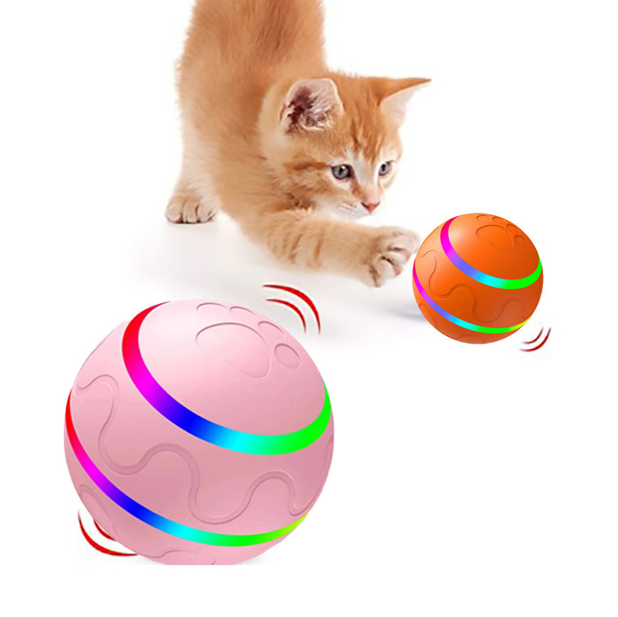 Smart Play Interactive Ball for cats