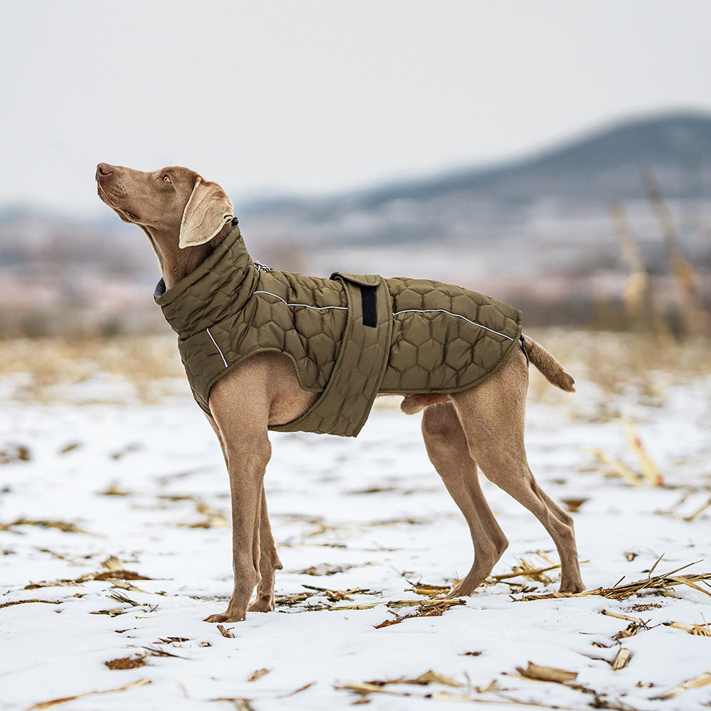 winter dog jacket