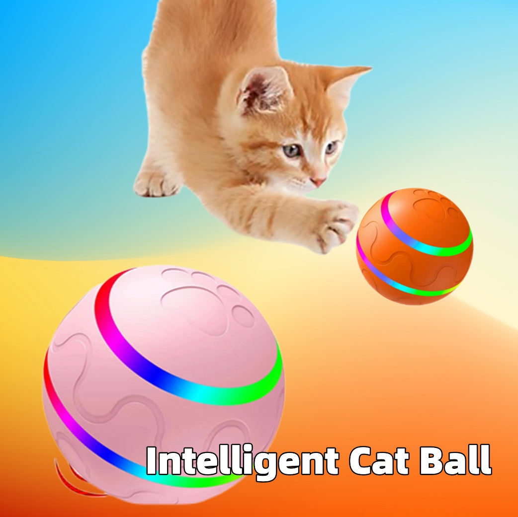 Smart Play Interactive Ball for cats