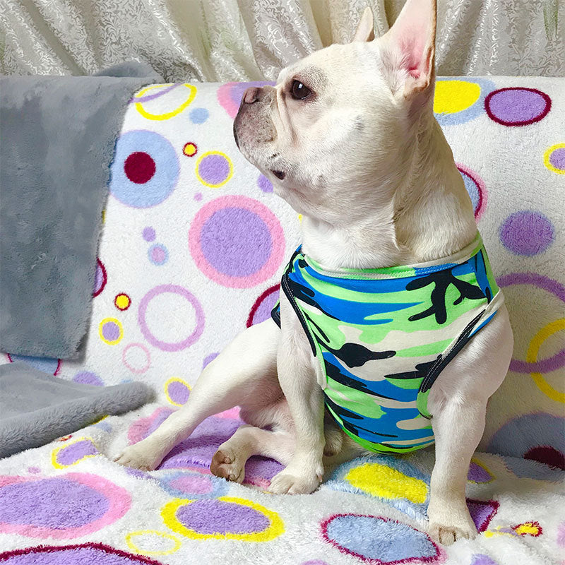 pet summer t-shirt