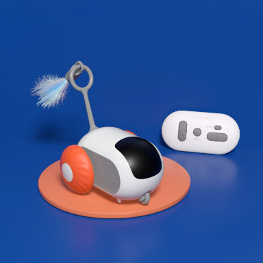interactive cat chase car