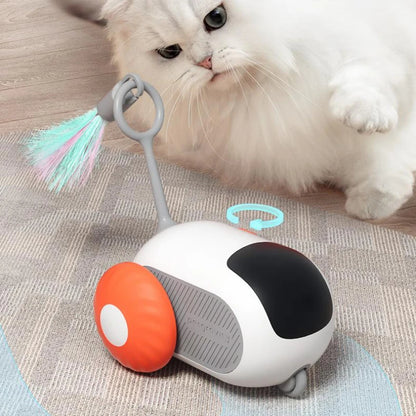 interactive cat chase car