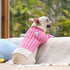 wool pet sweaters