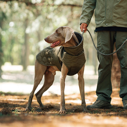winter dog jacket