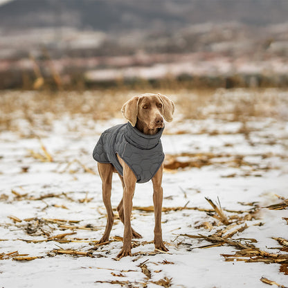 winter dog jacket