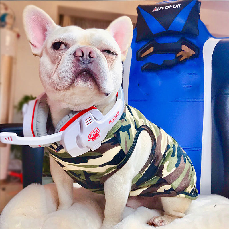 pet summer t-shirt