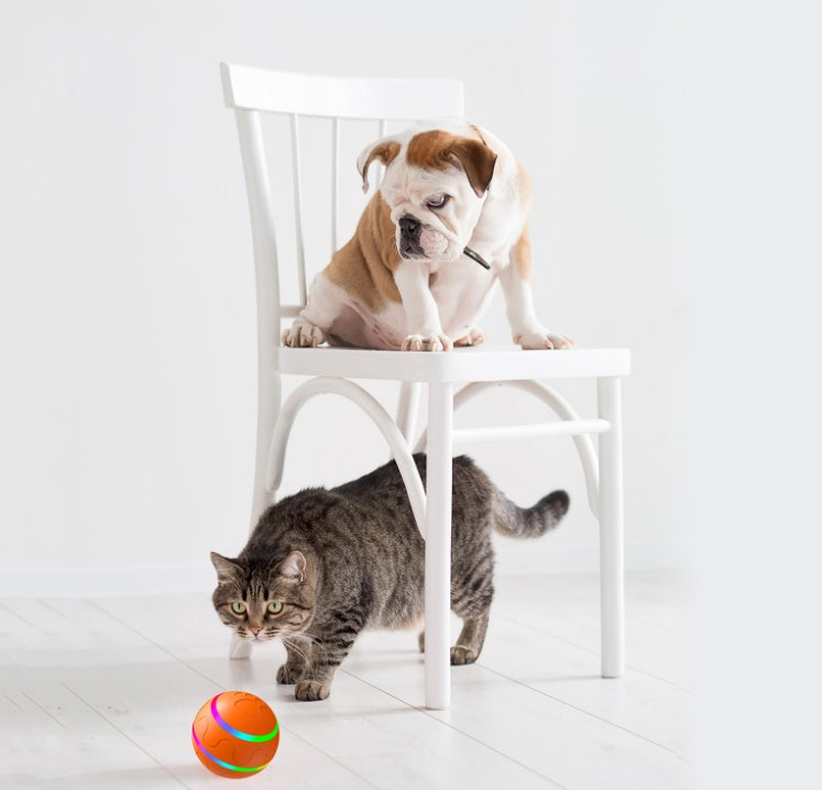 Smart Play Interactive Ball for cats