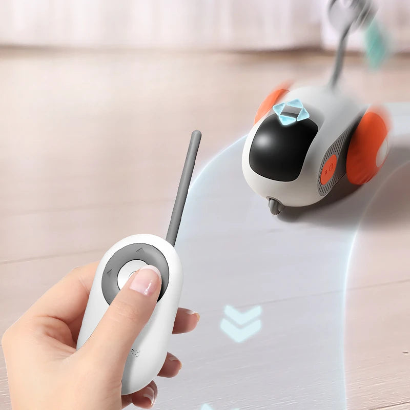 interactive cat chase car
