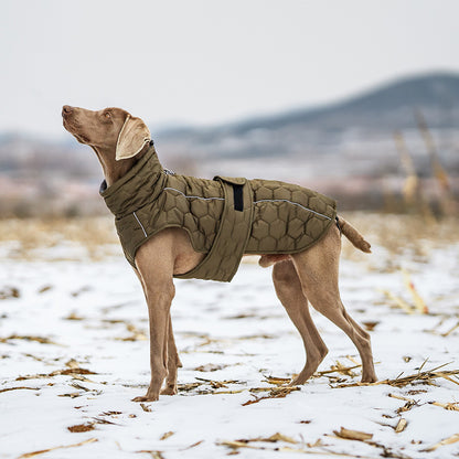 winter dog jacket